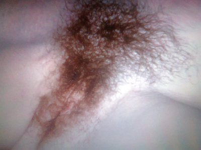 Dublin - image content by royal920777