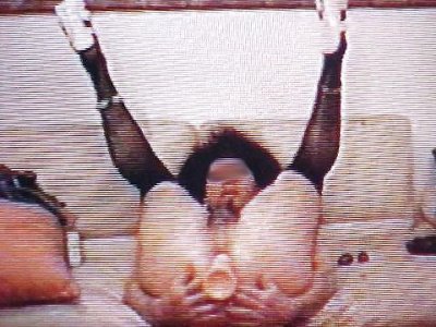 Zorra - image content by streamer76