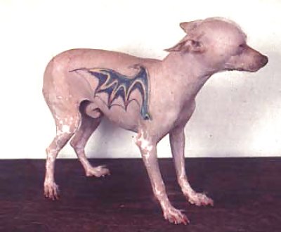 Tatoos - image content by new219real