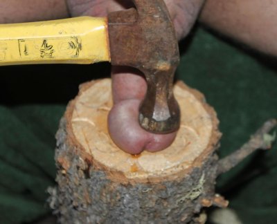 Takeing care of my cheating husbands dick!!! - image content by magex85606