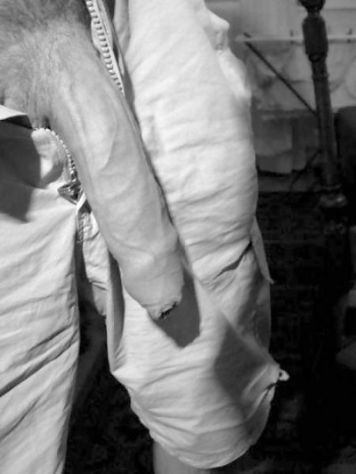 Big cocks - image content by soursorcerer69